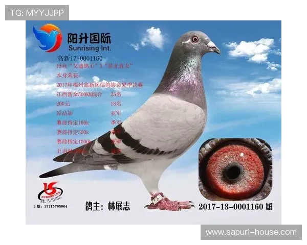 AG国际线上网址下载常见问题解答，解决用户在下载过程中遇到的各种技术难题与疑问